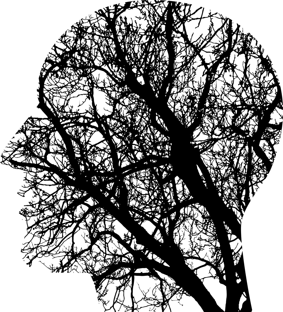 conciencia ecológica